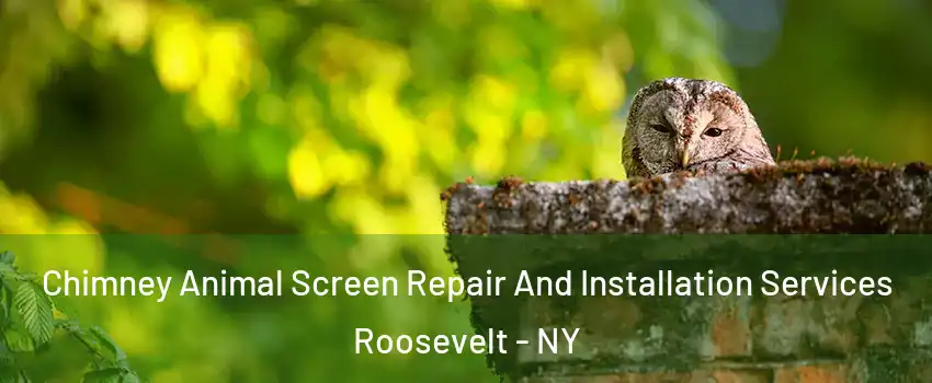 Chimney Animal Screen Repair And Installation Services Roosevelt - NY