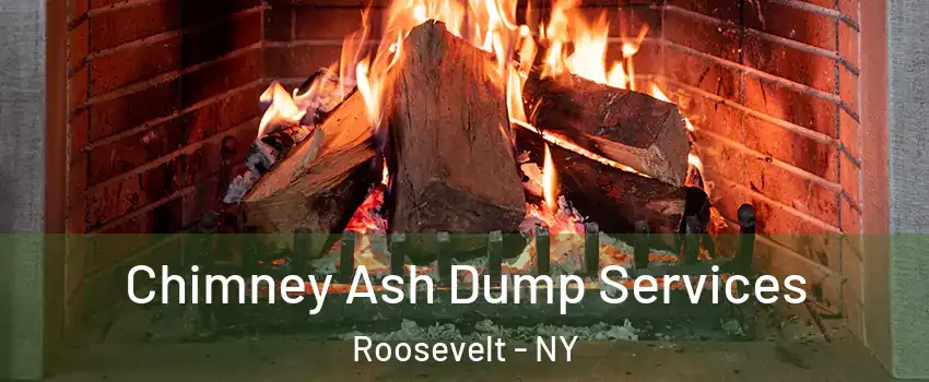Chimney Ash Dump Services Roosevelt - NY
