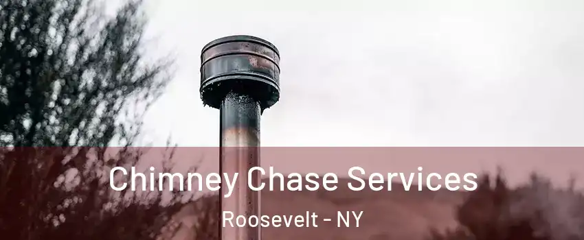 Chimney Chase Services Roosevelt - NY