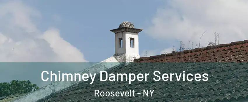  Chimney Damper Services Roosevelt - NY