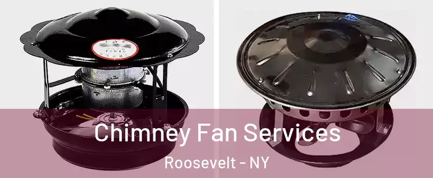  Chimney Fan Services Roosevelt - NY