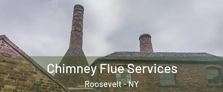 Chimney Flue Services Roosevelt - NY