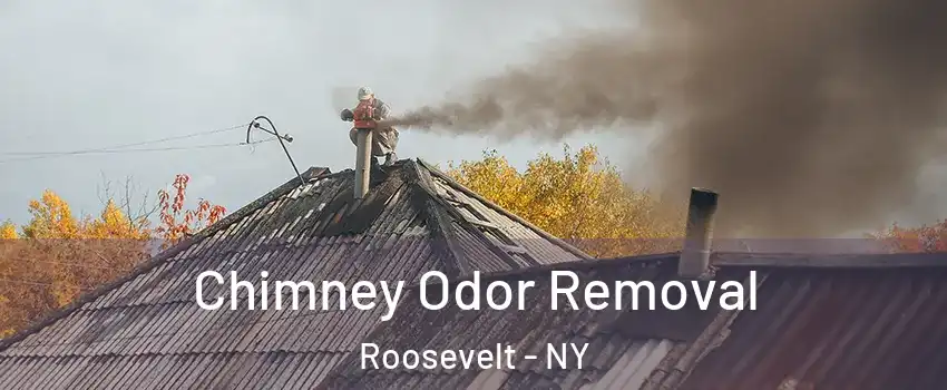 Chimney Odor Removal Roosevelt - NY