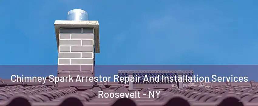 Chimney Spark Arrestor Repair And Installation Services Roosevelt - NY