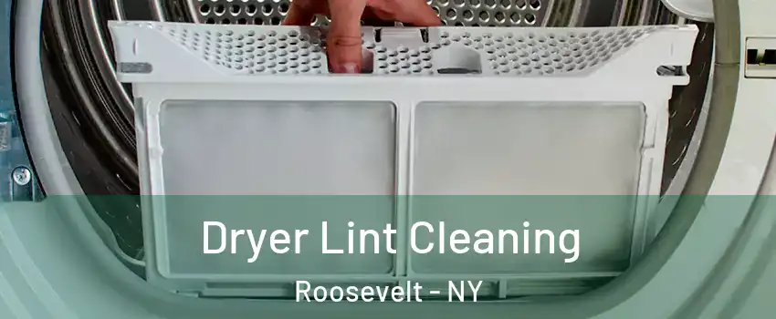  Dryer Lint Cleaning Roosevelt - NY