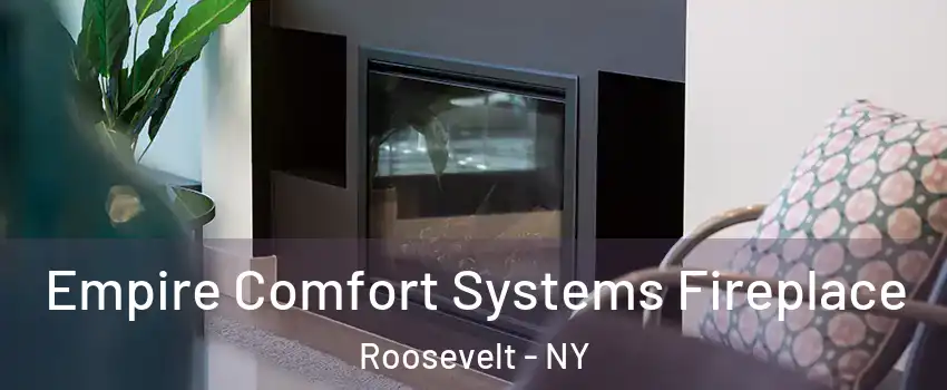  Empire Comfort Systems Fireplace Roosevelt - NY