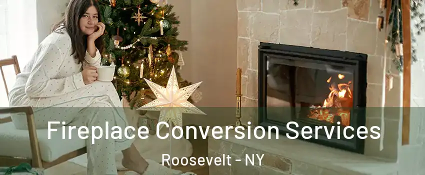  Fireplace Conversion Services Roosevelt - NY