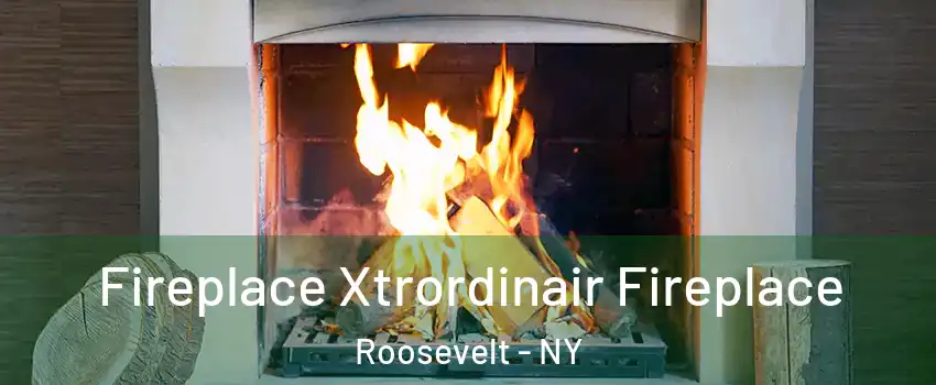  Fireplace Xtrordinair Fireplace Roosevelt - NY