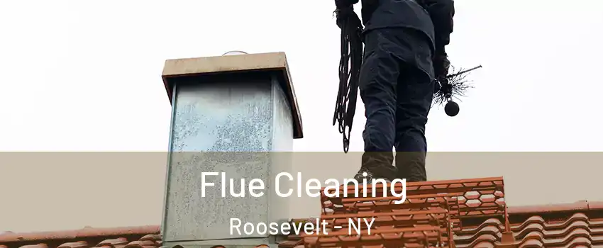 Flue Cleaning Roosevelt - NY