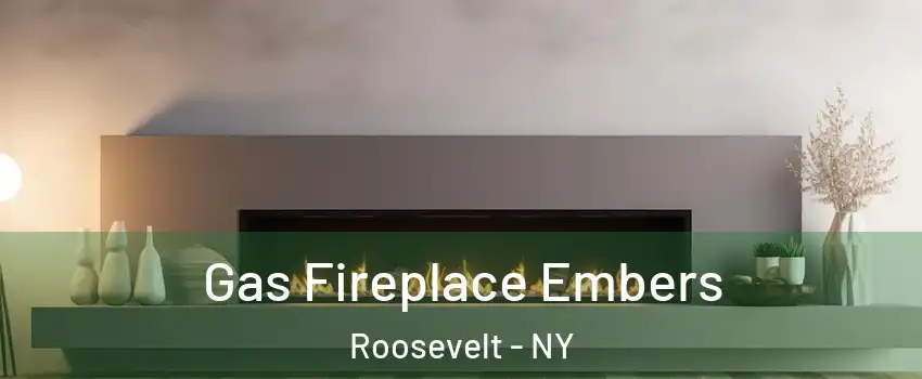 Gas Fireplace Embers Roosevelt - NY