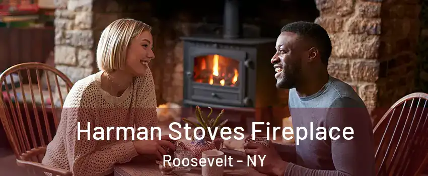  Harman Stoves Fireplace Roosevelt - NY
