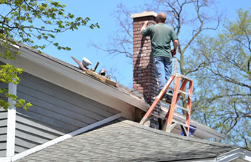 Chimney & Fireplace Inspections Services in Roosevelt, NY