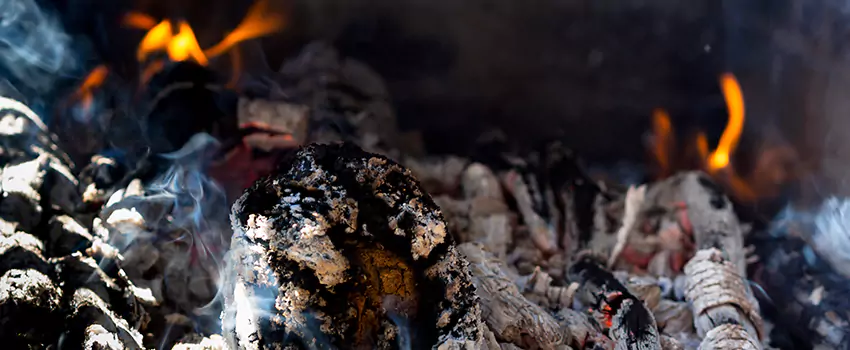 Creosote Removal Experts in Roosevelt, NY