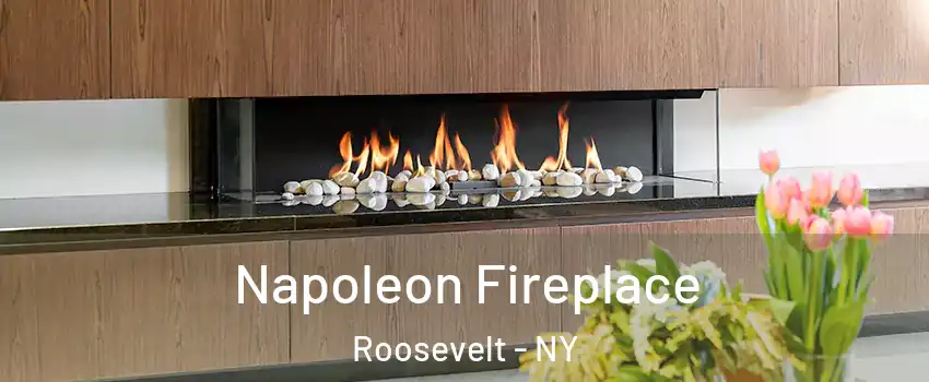  Napoleon Fireplace Roosevelt - NY