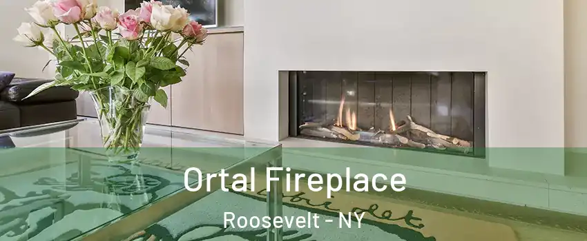 Ortal Fireplace Roosevelt - NY