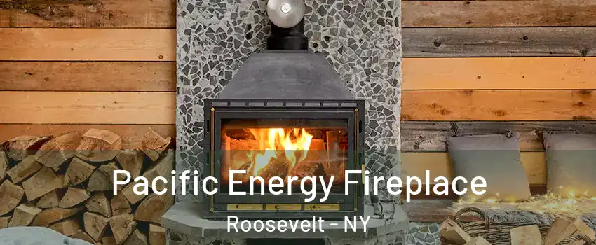  Pacific Energy Fireplace Roosevelt - NY