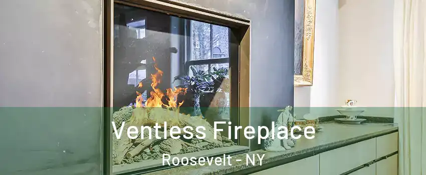 Ventless Fireplace Roosevelt - NY